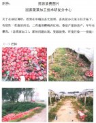 农产品资源浪费与污染图片
