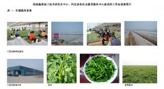 绿色栽培照片1