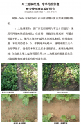 对土地调理剂、中草药植保液配合使用测试验证